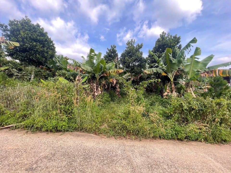 Đất nền Lộc Đức 3600m² giá 1.2 tỷ - Mặt tiền bê tông 21,6m, cơ hội vàng đầu tư!