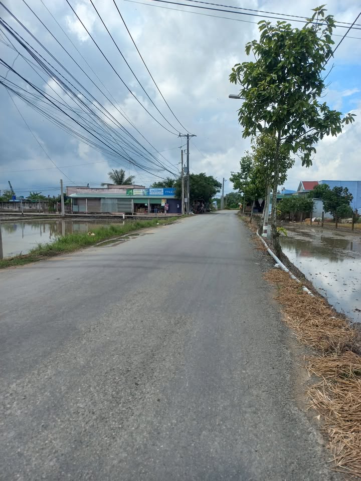 Đất vườn Tân Trạch Long An 750m² giá chỉ 1 tỷ - Cơ hội đầu tư tuyệt vời!