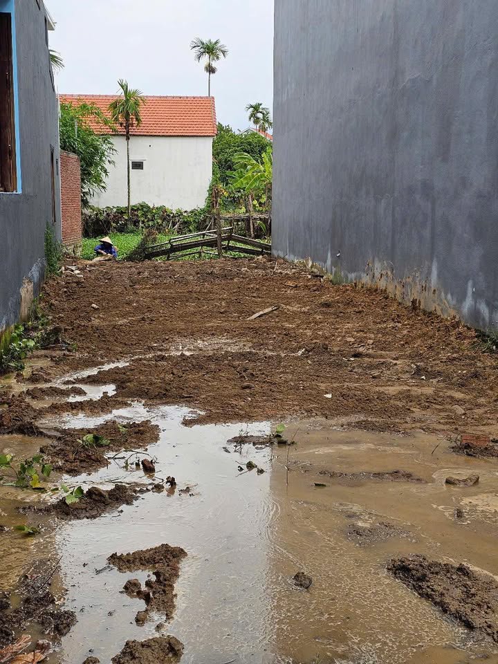 Đất nền Cẩm Thanh 105m² giá 2 tỷ - Đầu tư lý tưởng cho tương lai!