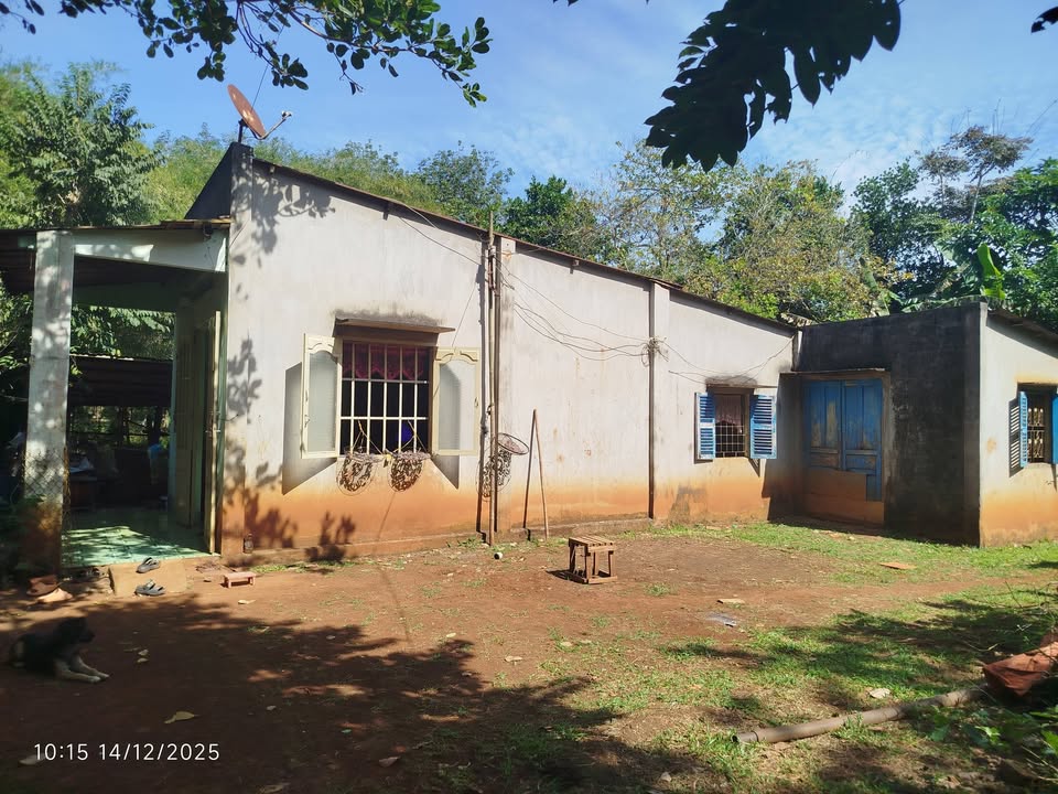 Đất nền Xuân Mỹ, Cẩm Mỹ 2000m² giá 1 tỷ - Sổ đỏ công chứng ngay!