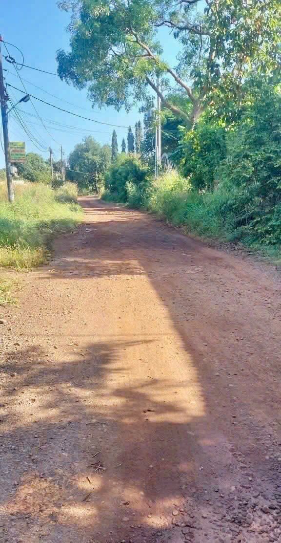 Đất Trảng Bom 1.000m² giá 1,55 tỷ - Sổ đỏ chính chủ, mặt tiền rộng