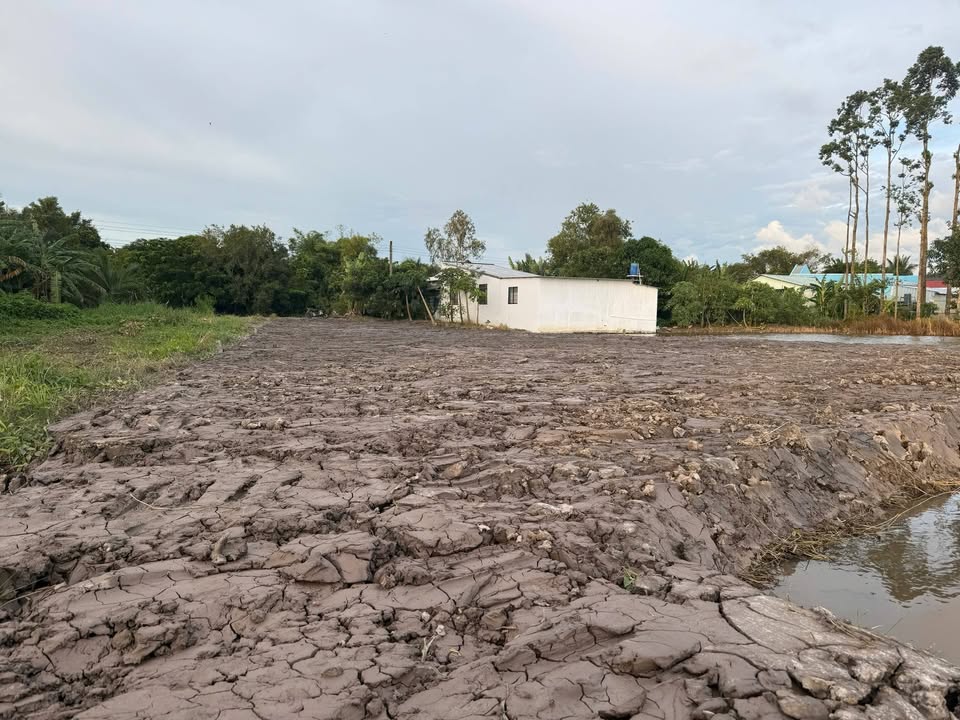 Đất vườn thổ cư 1200m² xã Giục Tượng giá 500 triệu - Cần bán gấp!