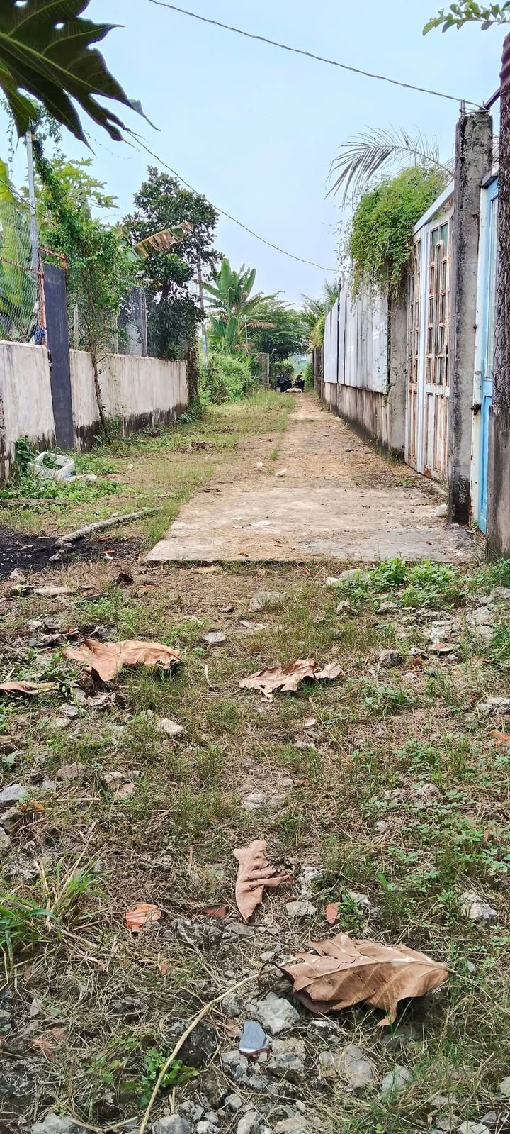 Nhà vườn Bình Mỹ, Củ Chi 600m² - Thích hợp nghỉ dưỡng, giá thỏa thuận!