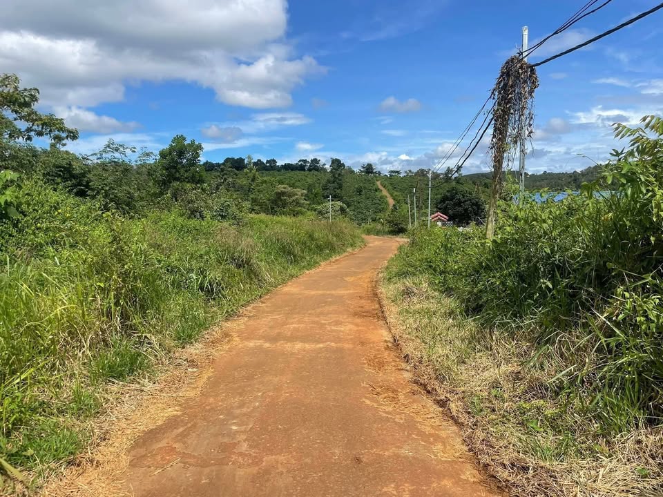 Đất thổ cư thôn 2 Trường Xuân 5,5 sào giá 1,4 tỷ - Gần trường quân sự, sổ đỏ chính chủ!