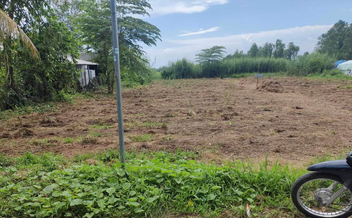 Đất nền Thới Hoà Ô Môn 504m² giá thỏa thuận - Tiềm năng đầu tư lớn!