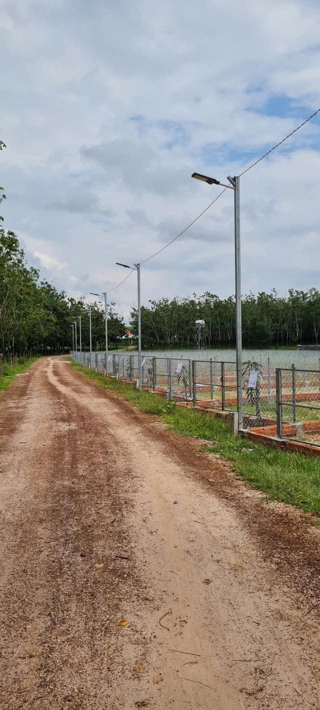 Đất thổ cư Hảo Đước 140m² giá 189 triệu - Sổ hồng chính chủ, xây rào sẵn!