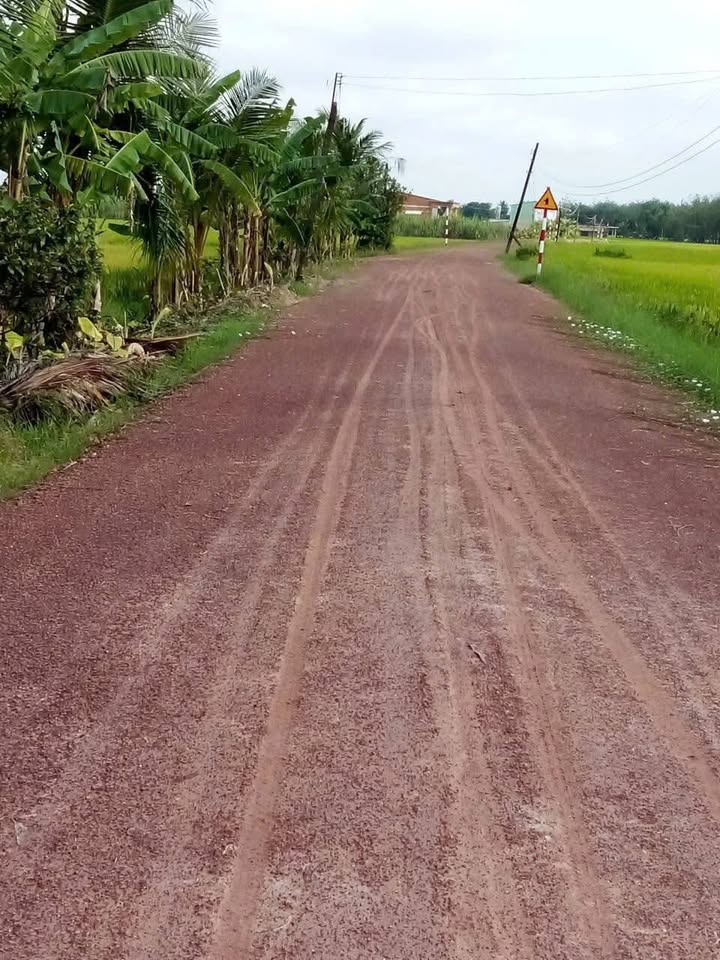 Đất nền An Cơ, Châu Thành, Tây Ninh 560m² giá 1.4 tỷ - Sổ đỏ chính chủ, thương lượng tốt!