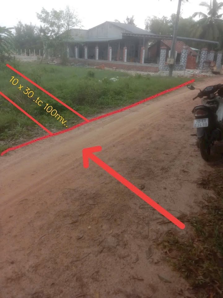 Đất nền Ninh Điền, Châu Thành, Tây Ninh 320m² chỉ 290 triệu - Cơ hội đầu tư tuyệt vời!