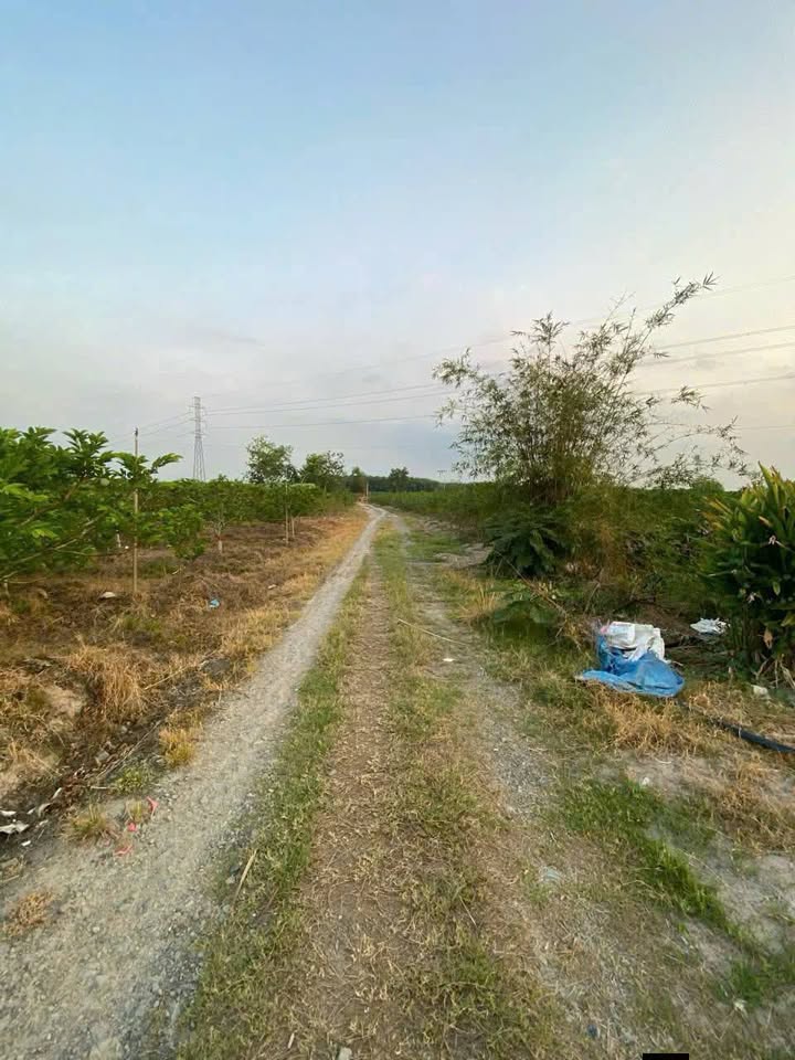 Đất Nền Ninh Phúc, Tây Ninh 2700m² giá 1.4 tỷ - Bán gấp chính chủ!