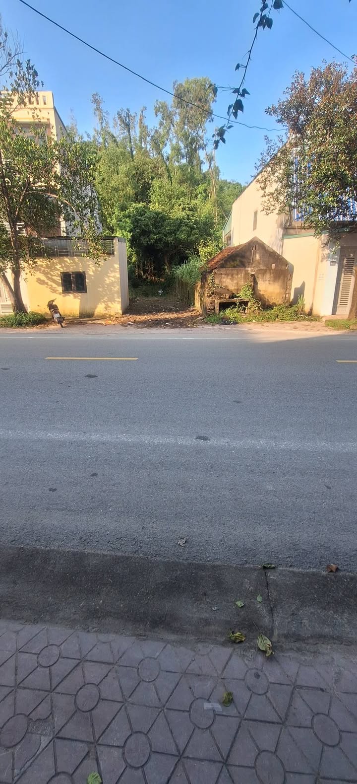 Đất mặt đường trung tâm thị trấn Rừng Thông 118m² giá 2 tỷ - Đầu tư sinh lời ngay!