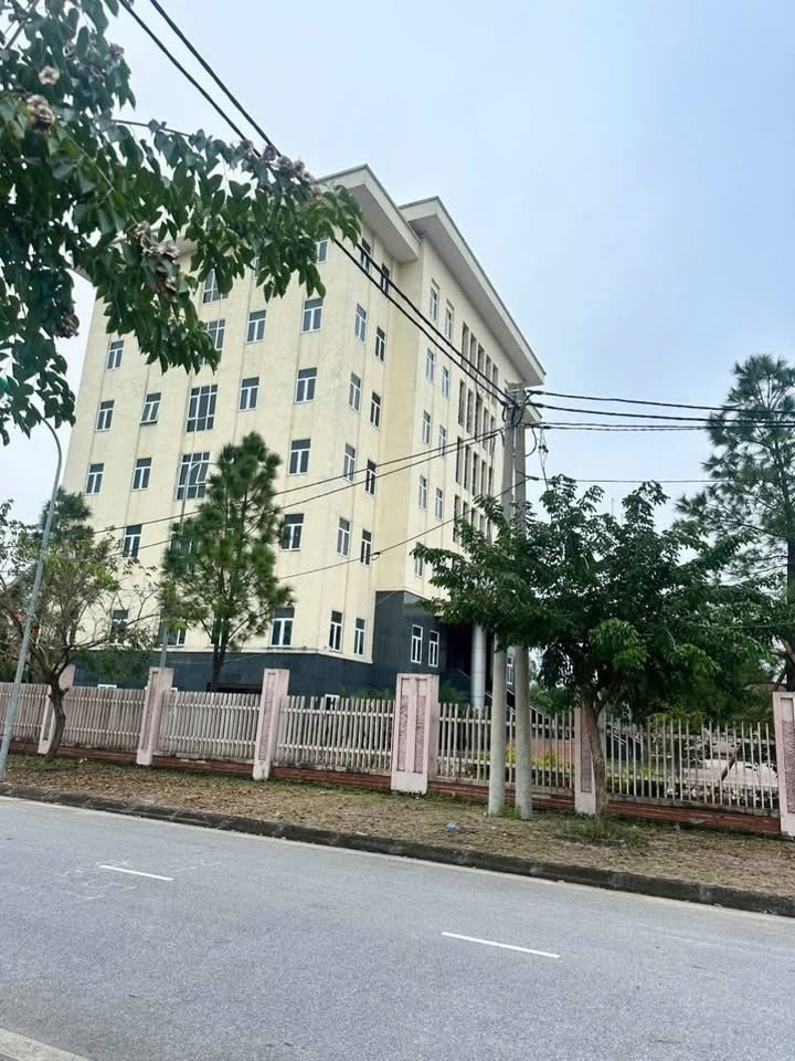 Lô đất 90m² phường Cộng Hòa, Chí Linh, giá 1 tỷ - Đầu tư sinh lời ngay!