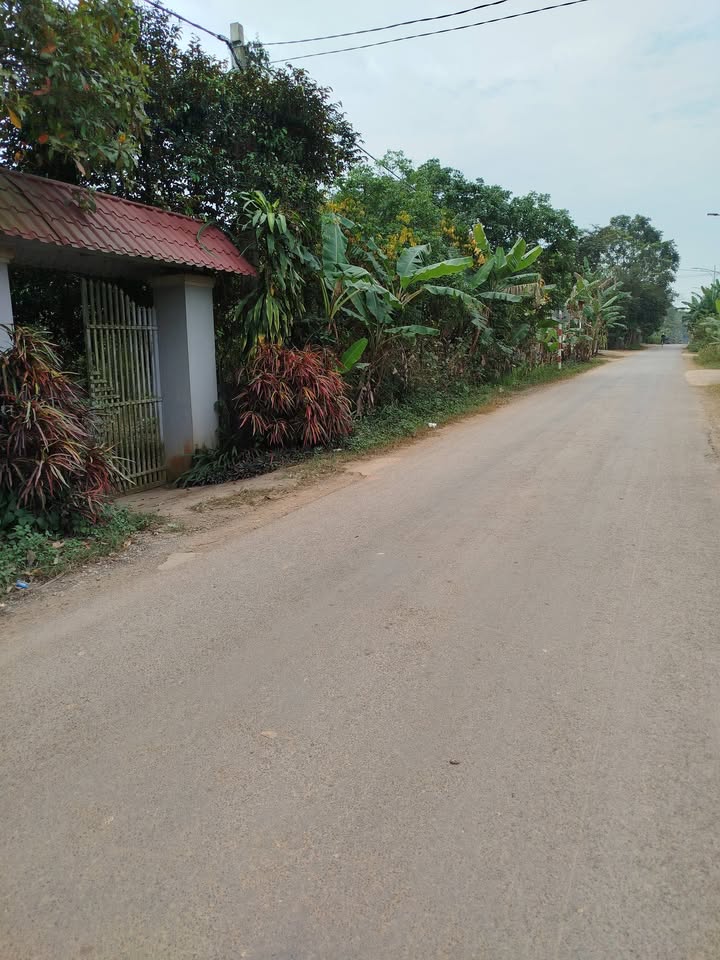 Đất thổ cư mặt tiền Quốc lộ 47, xã Sao Vàng, 182m² giá chỉ 1.6 tỷ - Cơ hội đầu tư hấp dẫn!