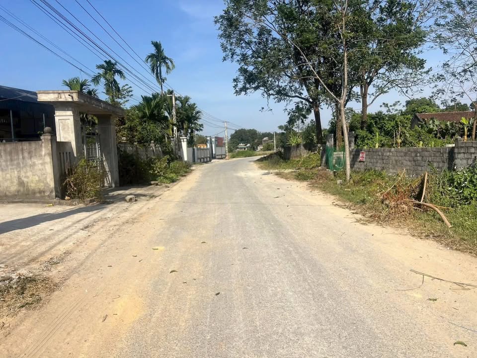 Đất thổ cư Thọ Thanh, Thường Xuân 125m² giá chỉ 400 triệu - Cơ hội vàng cho đầu tư!