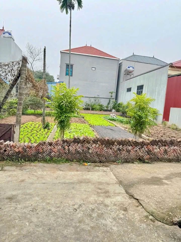 Đất nền Tích Giang - 50m² giá 1 tỷ - Kinh doanh sầm uất!