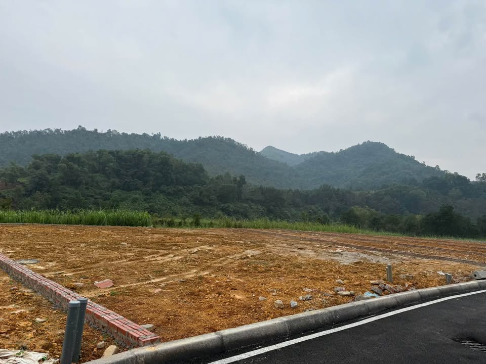 Lô đất thổ cư 395m² tại thôn Chóng, Ba Vì - Đường ô tô vào tận nơi!