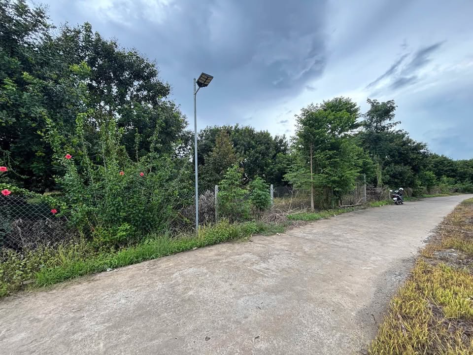 Đất vườn 1000m² xã Tà Lài, giá chỉ 450 triệu - Sổ hồng riêng, đầu tư sinh lời!