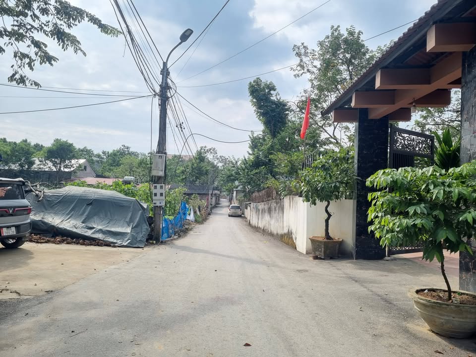 Đất nền Hoàng Đan, Tam Dương 130.3m² chỉ 900 triệu - Đầu tư sinh lời ngay!