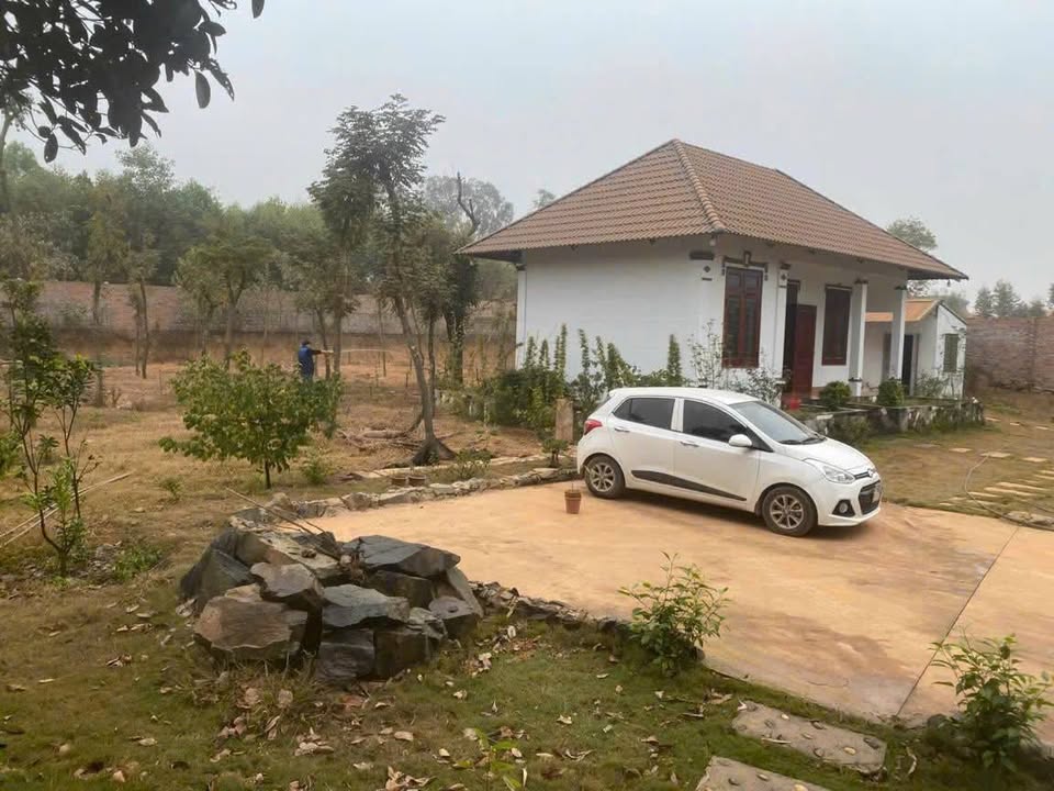 Đất nền Hữu Thủ Kim Long 3000m² giá 9 tỷ - Mặt tiền rộng, cơ hội đầu tư hấp dẫn!