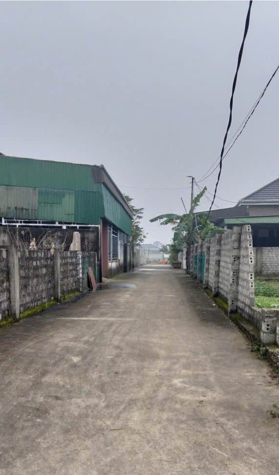 Đất nền Nghi Phong 61.6m² giá 890 triệu - Gần đường 26/3, ô tô vào tận nơi!