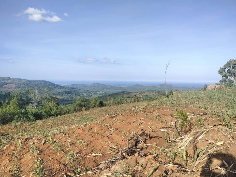 Đất thổ cư tại Thôn Lam Sơn, An Thọ, Tuy An, Phú Yên 1ha - Giá chỉ 1 tỷ, thương lượng!