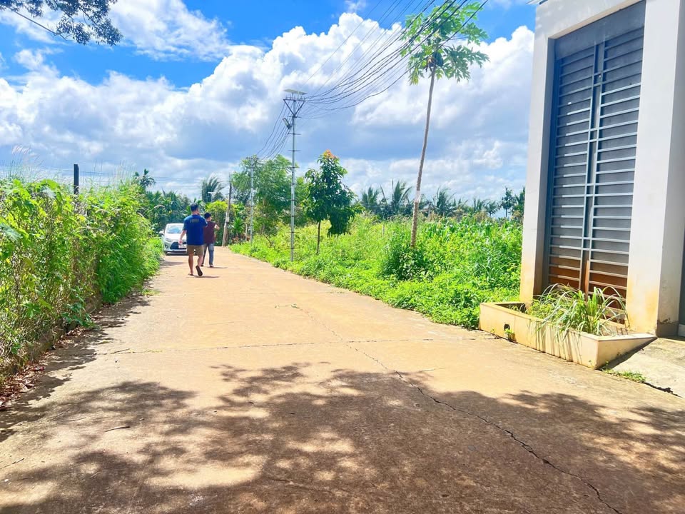 Đất nền hẻm Nguyễn Huệ, Tân Lợi 100m² giá 2.85 tỷ - Cơ hội đầu tư tuyệt vời!