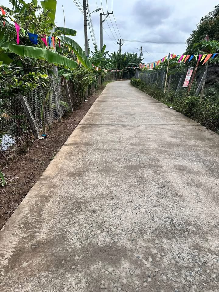 Đất CLN 500m² Mỹ Hòa Hưng - Phù hợp nghỉ dưỡng, giá thỏa thuận!