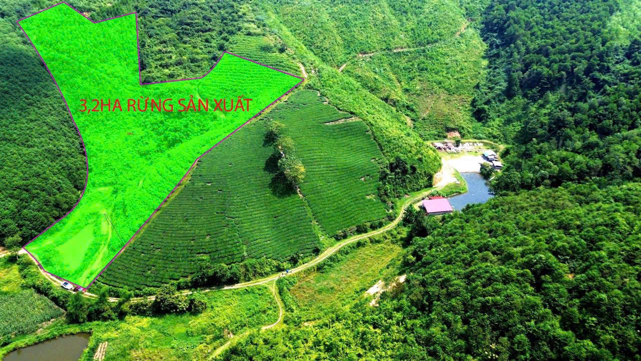 Đất nông nghiệp 3,2ha tại Ngọc Lập, Yên Lập - Cơ hội đầu tư tuyệt vời!