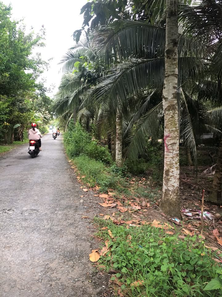 Đất nền mặt tiền đường nhựa xã Phú Thuận-Bình Đại 520m² giá 6.5 tỷ - Cơ hội đầu tư tuyệt vời!