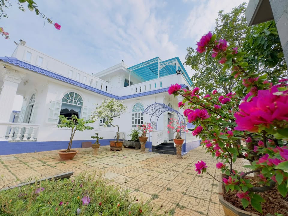 Biệt Thự Vườn Phước Hải 900m² giá 9.5 tỷ - View núi tuyệt đẹp!