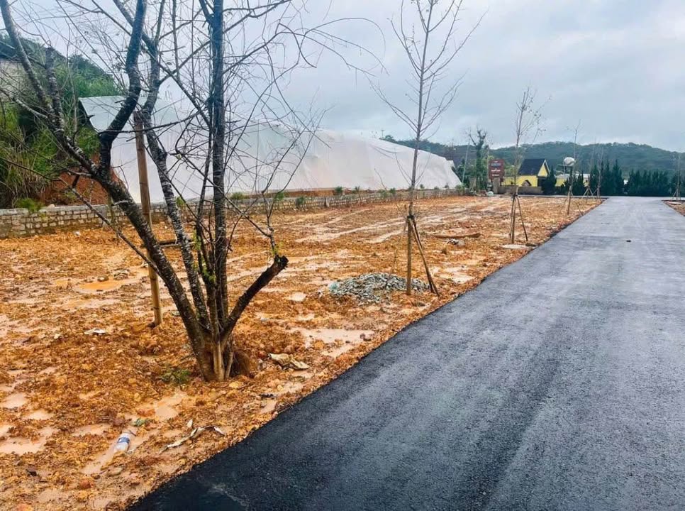 Đất nền Đống Đa Đà Lạt 900m² giá 28 tỷ - View tứ phía siêu đẹp!