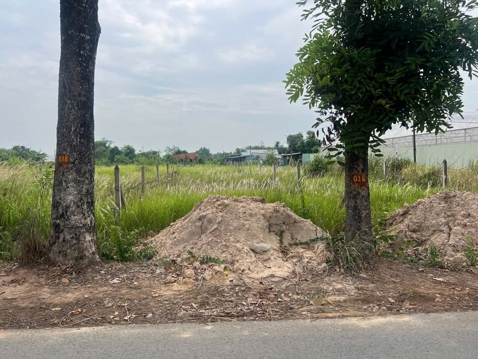 Đất mặt tiền Đoàn Minh Triết, Thái Mỹ, 125m² - Đầu tư sinh lời ngay!