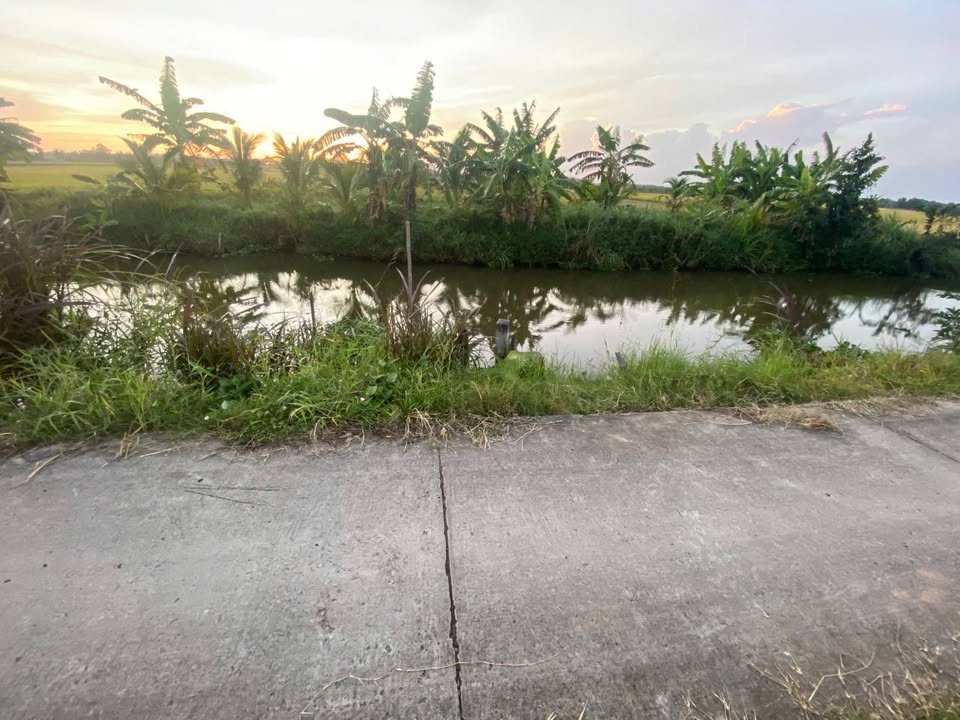 Đất bờ kênh 600m² phường 9, TP Trà Vinh giá chỉ 250 triệu - Cơ hội đầu tư tuyệt vời!