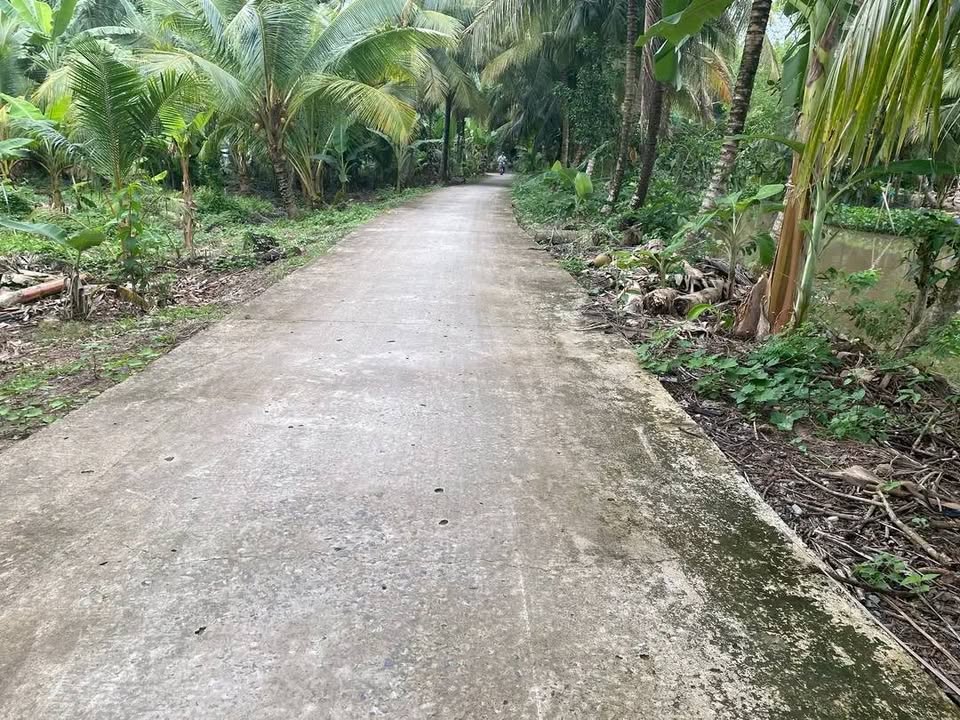 Đất mặt tiền Phong Thạnh 9,5 công giá 660 triệu - Đầu tư sinh lời ngay!