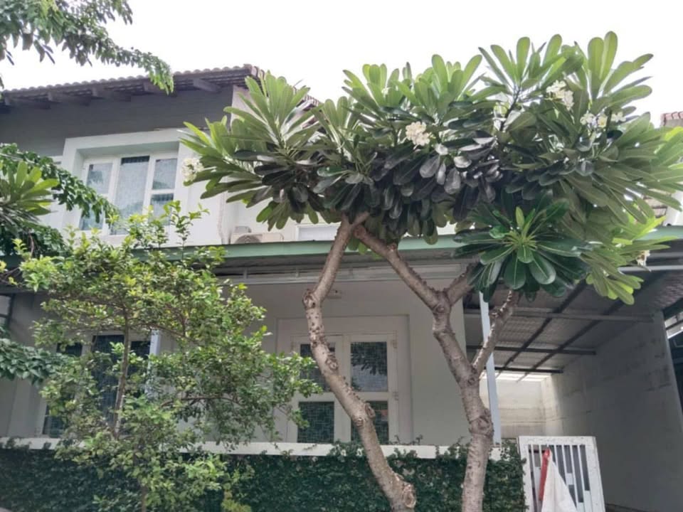 Biệt thự Pegasus 130m² tại Long Điềm, Biên Hòa - Cho thuê chỉ 8.5 triệu/tháng!