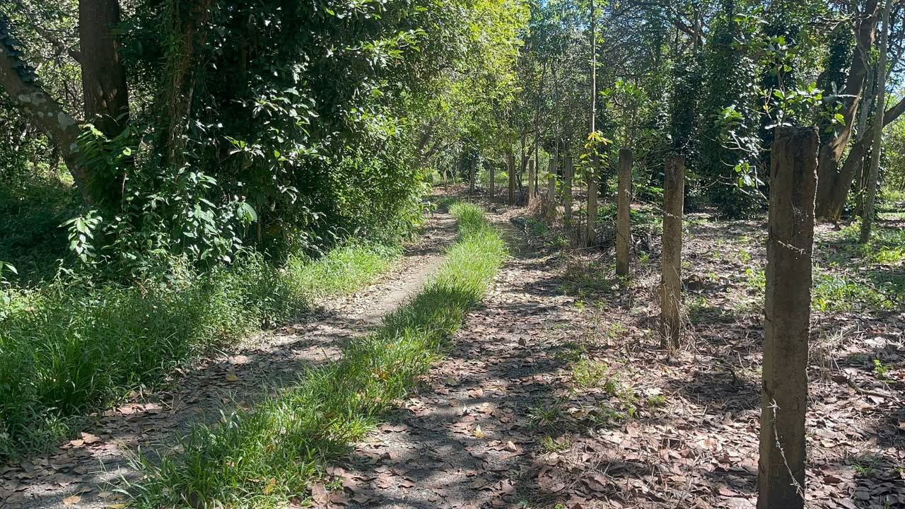 Đất 20.000m² tại Ấp Suối Đục, Xuân Hòa - Giá cực rẻ, đầu tư sinh lời!