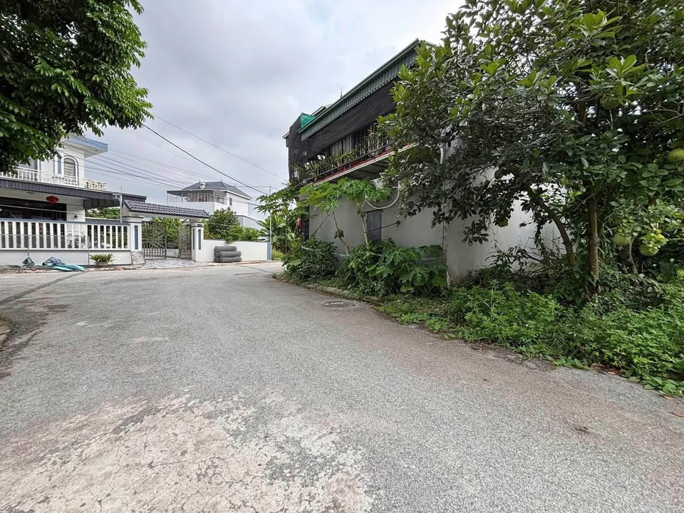 Đất mặt ngõ 322 Thành Tô, Tràng Cát 62m² giá 2.356 tỷ - Tiềm năng đầu tư lớn!