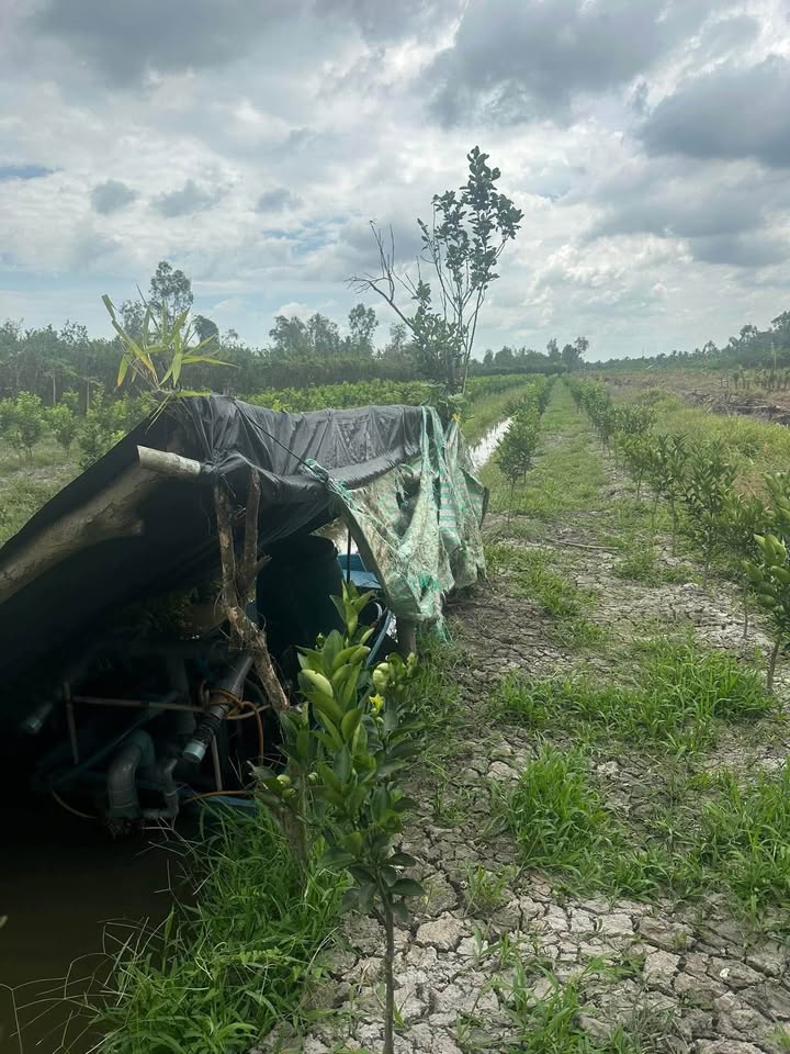 Đất vườn Hiếu Thành Vũng Liêm 3300m² giá chỉ 693 triệu - Đầu tư sinh lời ngay!