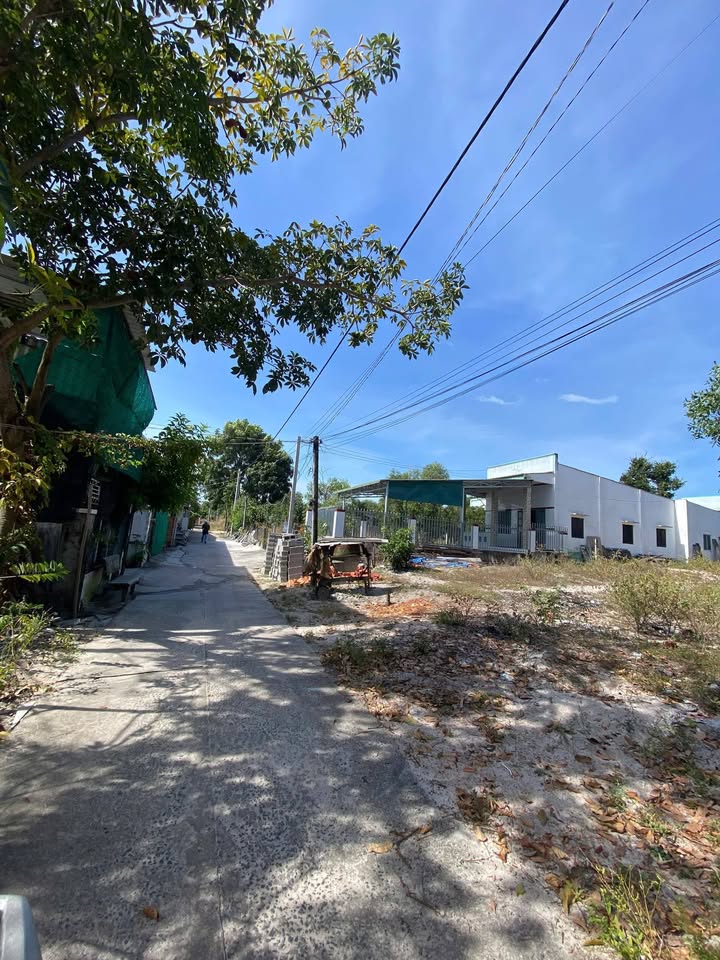 Đất hẻm Lý Thường Kiệt, Bình Tân 220m² giá 1.15 tỷ - Đầu tư sinh lời ngay!