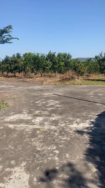 Đất nền Lục Ngạn Bắc Giang 1100m² giá 1 tỷ - Đầu tư sinh lời ngay!