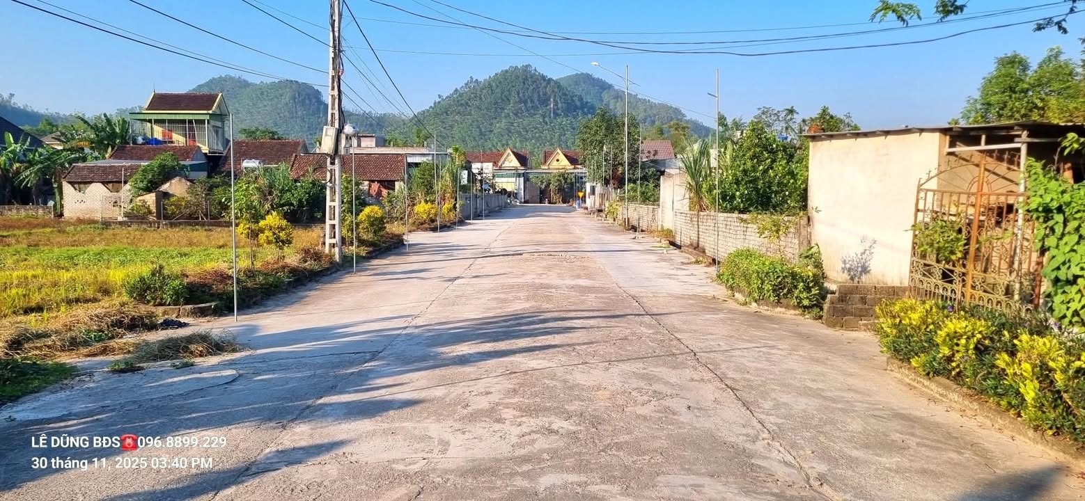 Đất thổ cư Tân Thành, Yên Thành 231m² giá 1 tỷ - Đường mặt tiền rộng 16,5m!