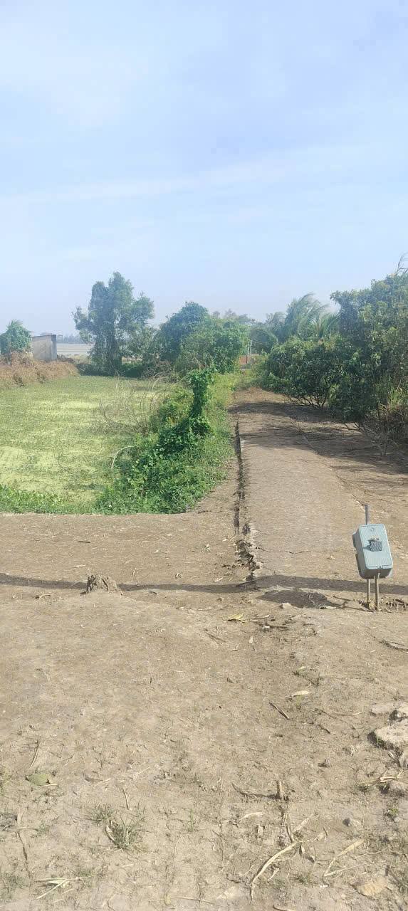 Đất Farm Vĩnh Nhuận 3,5 công giá 650 triệu - Đầu tư sinh lời ngay!