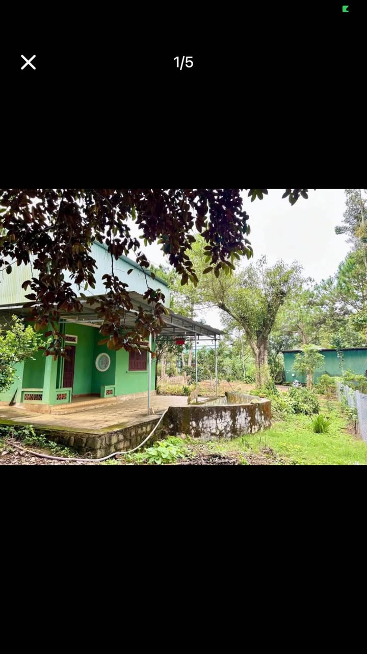 Nhà cho thuê hẻm 297 Phan Đình Phùng, Bảo Lộc - Diện tích 640m², giá chỉ 2 triệu/tháng!