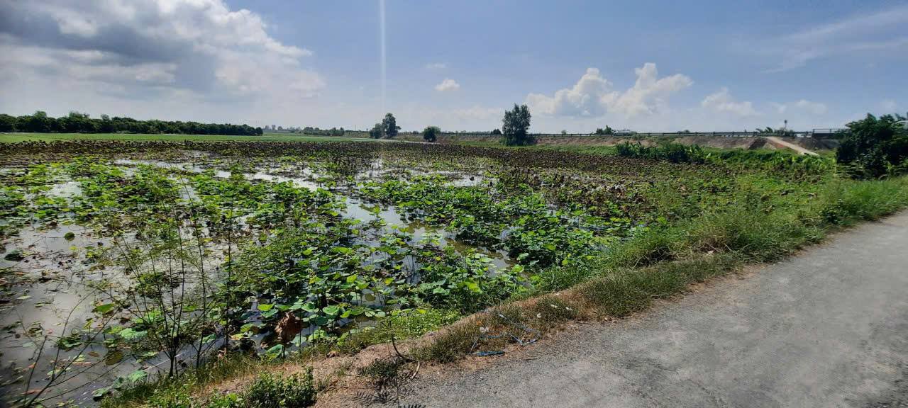 Đất nền mặt tiền đường N1, phường Núi Sam, Châu Đốc 2000m² giá 1.04 tỷ - Sổ đỏ đầy đủ, thương lượng tốt!