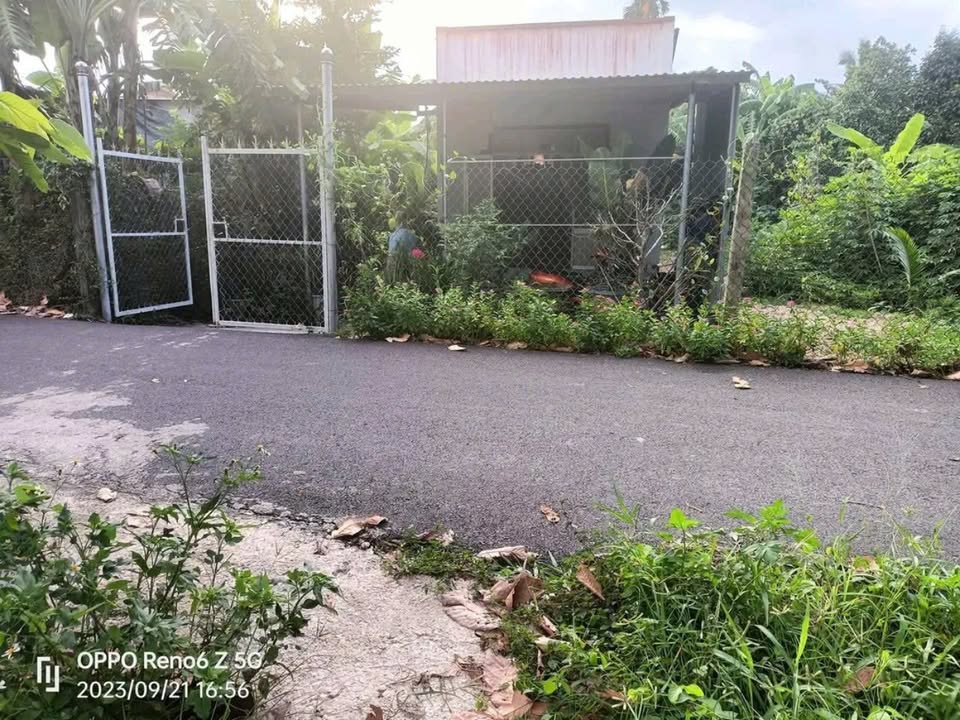 Đất thổ cư xã Diên Thọ 529m² giá chỉ 1.89 tỷ - Đầu tư sinh lời ngay!