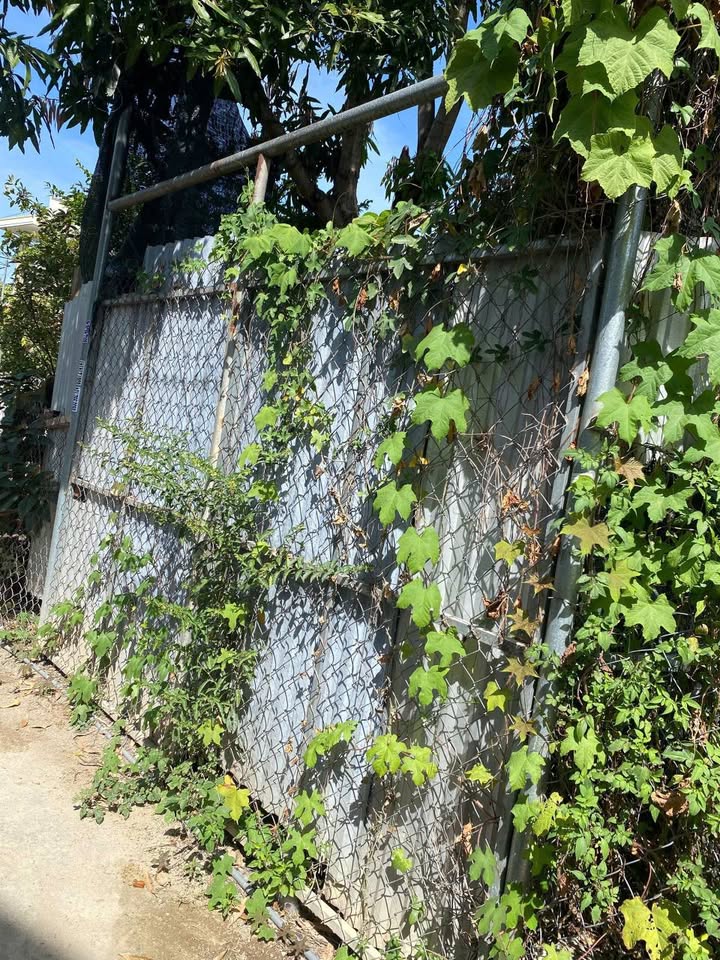 Đất nền Vĩnh Châu - Vĩnh Hiệp, Nha Trang 123.8m² giá 3.24 tỷ - Cơ hội đầu tư tuyệt vời!