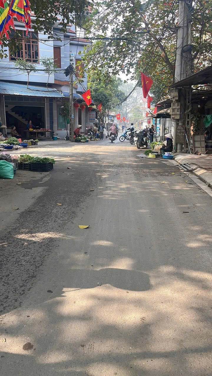 Đất nền 100m² tại Đông Yên, Quốc Oai - Giá chỉ 1.XX tỷ, cơ hội đầu tư tuyệt vời!