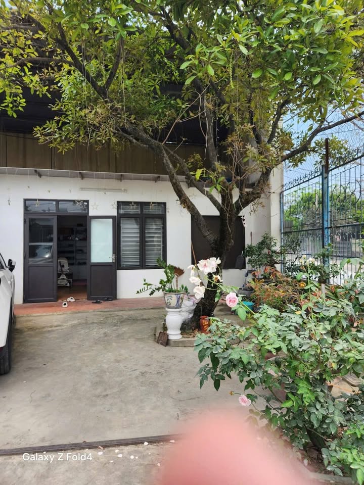 Bán đất Trịnh Huy Quang 492m² giá 12 tỷ - Sổ đỏ chính chủ, đầu tư sinh lời!