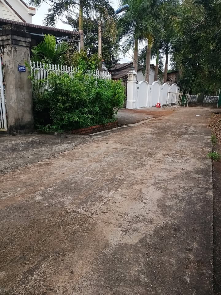 Đất nền Khánh Xuân 350m² giá 1.75 tỷ - Biệt thự nhà vườn xung quanh!