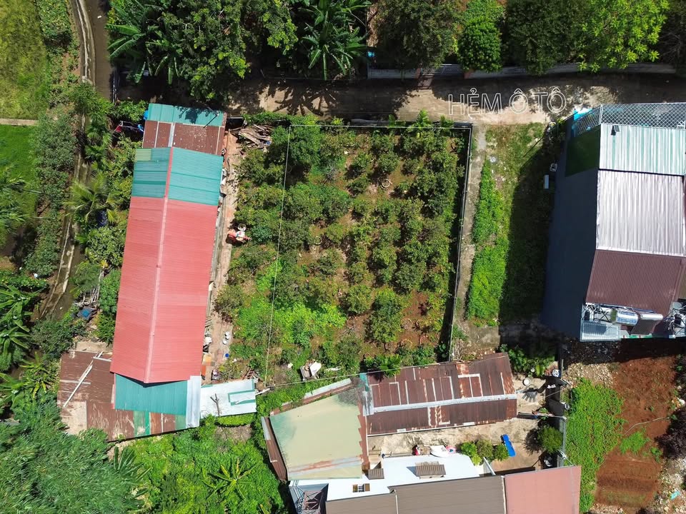 Bán đất nền hẻm 24 Lương Thế Vinh 100m² giá 2.65 tỷ - Đầu tư sinh lời ngay!