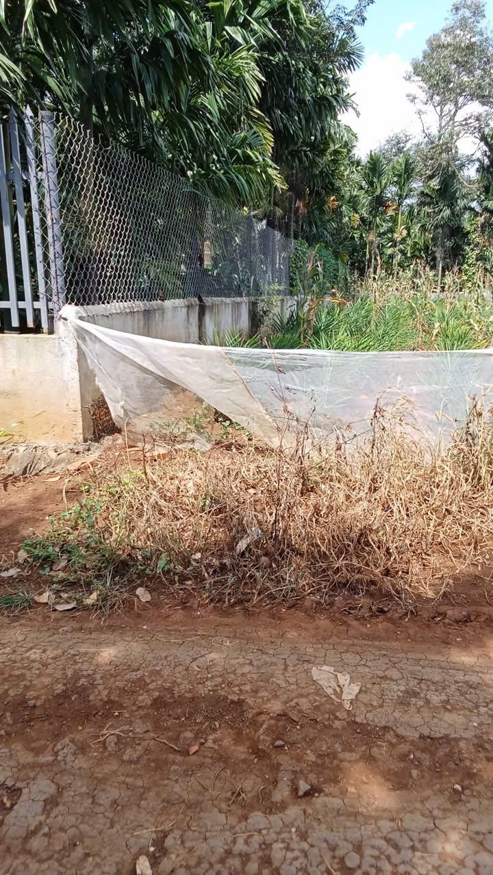 Đất thổ cư Ea Tiêu, Cư Kuin 170m² giá 420 triệu - Gần chợ và trường học!